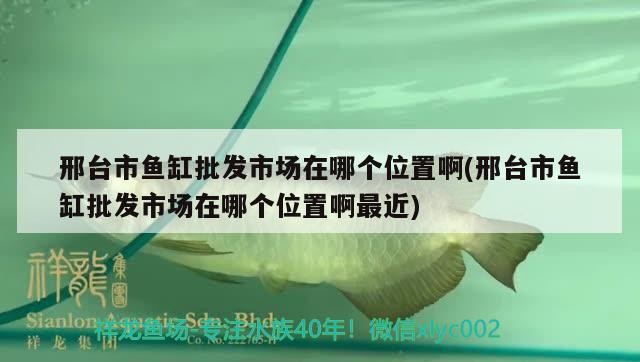 邢臺市魚缸批發市場在哪個位置啊(邢臺市魚缸批發市場在哪個位置啊最近)