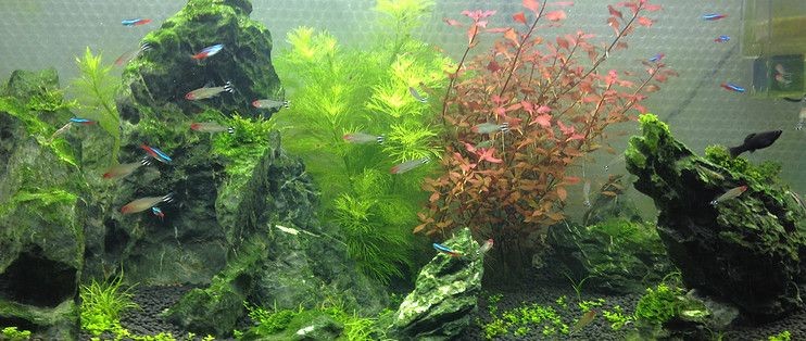 大魚缸配件都需要什么工具呢：大魚缸配件及所需工具
