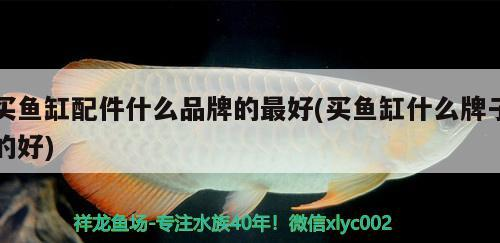 湘潭魚缸定制、湘潭魚缸訂做的信息別忘了關注祥龍魚場哦，湘潭魚缸定做的注意事項