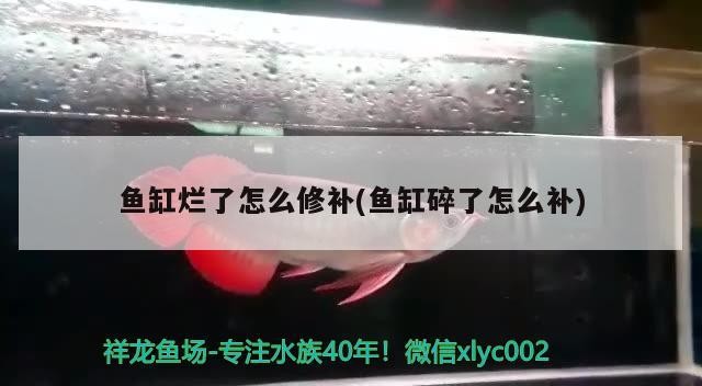 湘潭魚缸定制、湘潭魚缸訂做的信息別忘了關注祥龍魚場哦，湘潭魚缸定做的注意事項