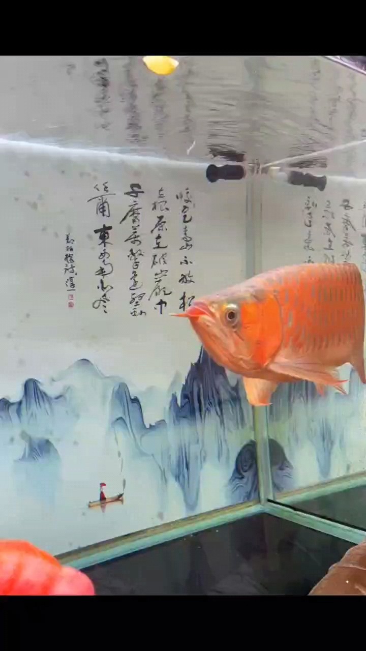 來個細節