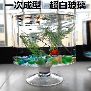 玻璃圓柱魚缸：如何選擇合適的玻璃圓柱魚缸