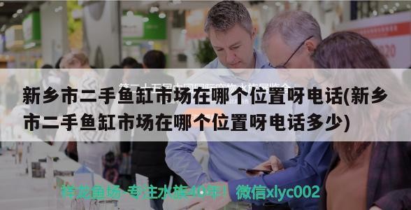 新鄉(xiāng)市二手魚缸市場(chǎng)在哪個(gè)位置呀電話(新鄉(xiāng)市二手魚缸市場(chǎng)在哪個(gè)位置呀電話多少) 新鄉(xiāng)市二手魚缸市場(chǎng)在哪個(gè)位置呀電話(新鄉(xiāng)市二手魚缸市場(chǎng)在哪個(gè)位置呀電話多少) 森森魚缸