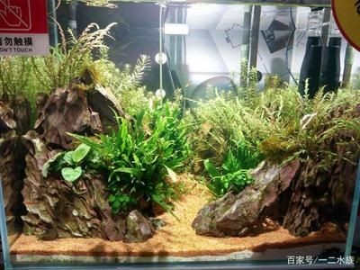 玻璃門可以做魚缸嗎：玻璃門可以做魚缸嗎？