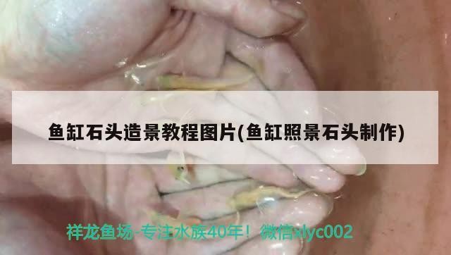 魚缸石頭造景教程圖片(魚缸照景石頭制作)