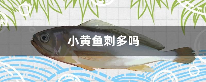 虎魚(yú)的養(yǎng)殖方法和注意事項(xiàng)視頻(虎魚(yú)的養(yǎng)殖技術(shù))