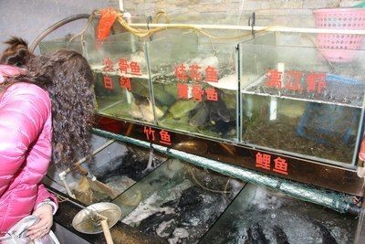 廣佛花魚之家怎么樣啊知乎貼吧（關于廣佛花魚之家的一些事）