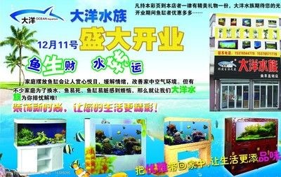 大洋魚(yú)缸廠：大洋漁業(yè)有限公司