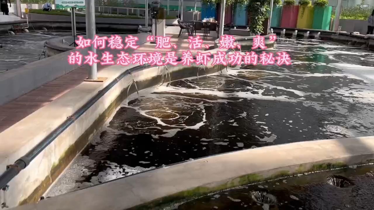 水質(zhì)指標之水色