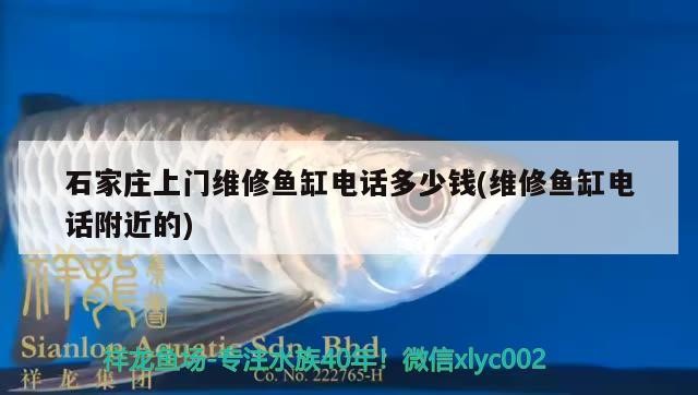 石家莊上門(mén)維修魚(yú)缸電話多少錢(qián)(維修魚(yú)缸電話附近的)