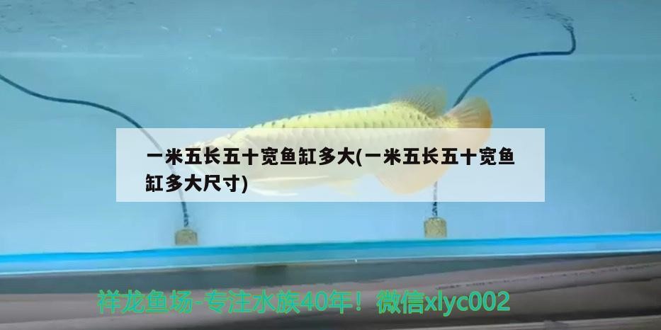 一米五長五十寬魚缸多大(一米五長五十寬魚缸多大尺寸)