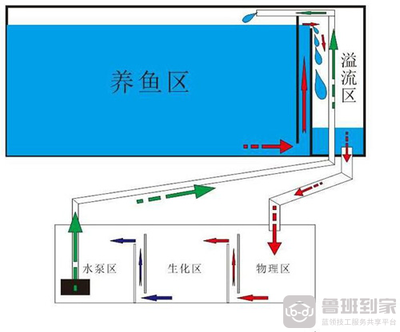 寧國(guó)市昌慶水族器材有限公司（寧國(guó)市昌慶水族器材有限公司電話）
