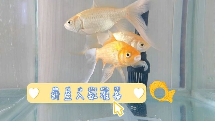 延吉市海洋水族館（延吉市海洋水族館電話）
