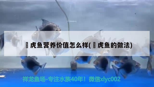 鰕虎魚營養(yǎng)價(jià)值怎么樣(蟳虎魚的做法)