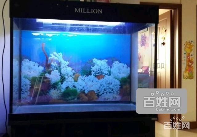 大港賣魚缸的地方在哪里：大港地區賣魚缸信息