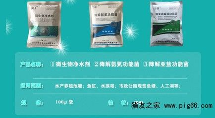 冬天魚缸水渾濁的原因是什么：冬天魚缸水渾濁的原因及其他季節(jié)有所不同，養(yǎng)魚愛好者必備的知識 冬天魚缸水渾濁的原因是什么：冬天魚缸水渾濁的原因及其他季節(jié)有所不同，養(yǎng)魚愛好者必備的知識 魚缸百科 第4張