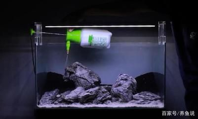 大魚缸如何開缸視頻：大魚缸開缸視頻教程