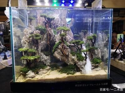大魚缸如何開缸視頻：大魚缸開缸視頻教程