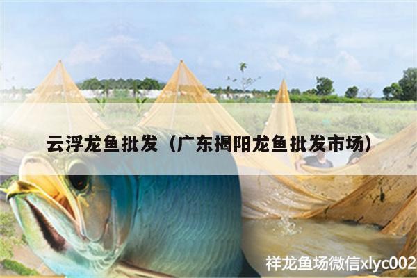 云浮紅龍魚價格2688貴嗎？