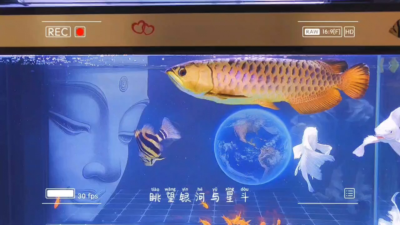 晚風(fēng)依舊很溫柔