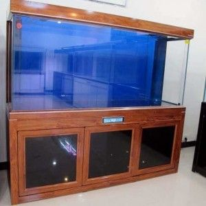 玻璃魚缸樣品：有機玻璃魚缸定制服務