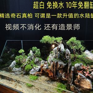 成品魚缸改水陸缸怎么改：成品魚缸改水陸缸步驟