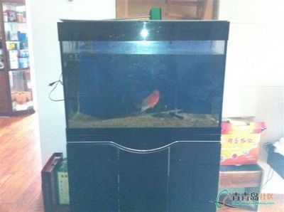 搬魚(yú)缸上6樓：如何搬魚(yú)缸上6樓