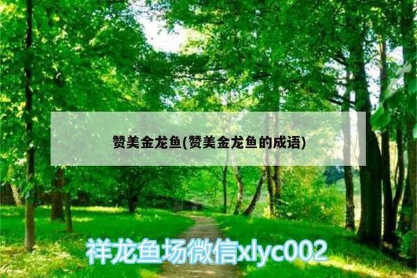 扎賚特旗弘彤水族寵物會館（扎賚特旗弘彤水族寵物會館電話）