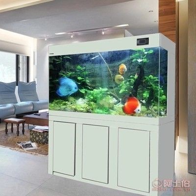 定做大型魚缸：大型魚缸養(yǎng)護與水質管理的重要性