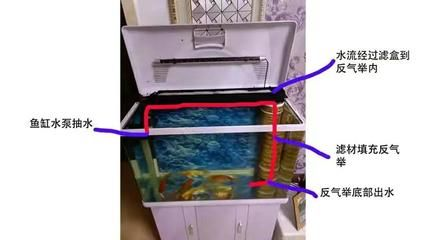 側濾魚缸過濾材料擺放順序視頻：魚缸側濾魚缸過濾材料的擺放順序詳解魚缸濾材擺放順序