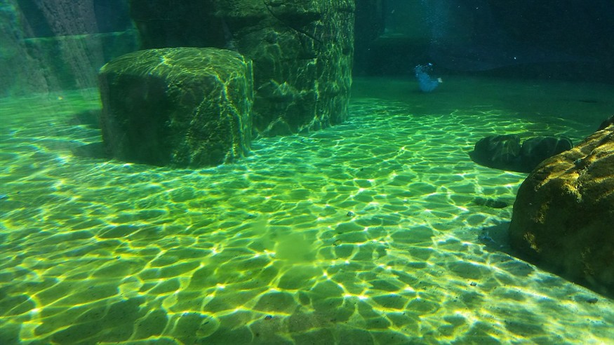 建昌水族館(南昌水族館)