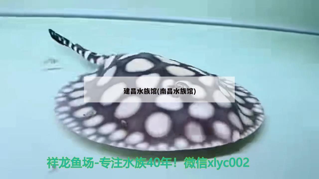 建昌水族館(南昌水族館)