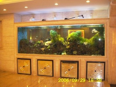 玻璃店定制魚缸多少錢：無(wú)錫鴻顏水族玻璃店定制魚缸價(jià)格在100元左右