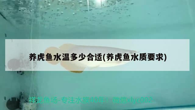 養虎魚水溫多少合適(養虎魚水質要求)