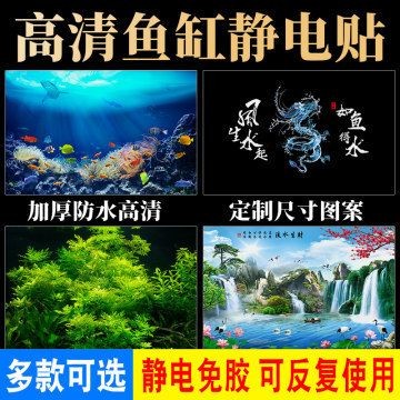 定做觀賞魚缸多少錢：定做觀賞魚缸價格受多種因素影響