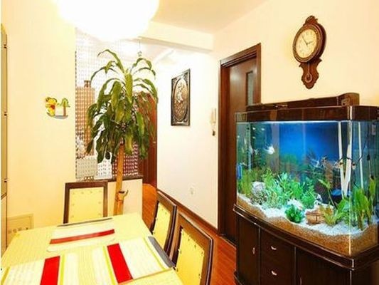 森森過濾器怎么安裝（森森魚缸下過濾器安裝圖解）
