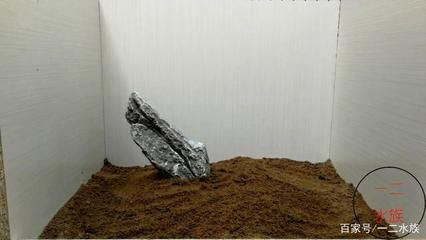 大魚缸怎么清理沙子的：大魚缸清理注意事項(xiàng)在清理大魚缸中的沙子可以采用以下幾種方法