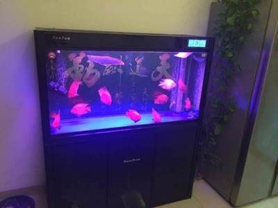 成品魚(yú)缸改裝效果圖：成品魚(yú)缸內(nèi)部過(guò)濾器改造效果圖魚(yú)缸內(nèi)部過(guò)濾器改造