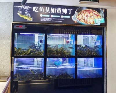 巴南哪里有魚缸賣的實(shí)體店：巴南區(qū)有哪些魚缸實(shí)體店？