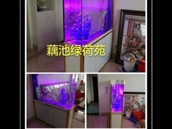 巴南哪里有魚(yú)缸賣(mài)的實(shí)體店：巴南區(qū)有哪些魚(yú)缸實(shí)體店？