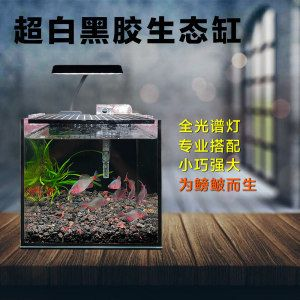 超白魚缸有劃痕怎么辦視頻：超白魚缸劃痕修復技巧魚缸劃痕修復技巧魚缸劃痕修復技巧