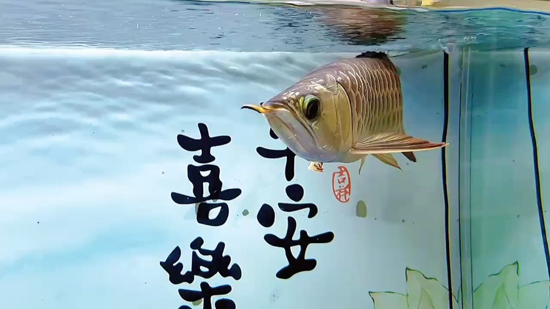 打個卡~