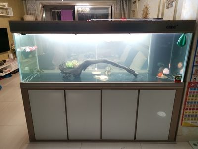 興平市復興巷南藍色水族（興平市復興巷南藍色水族館電話）