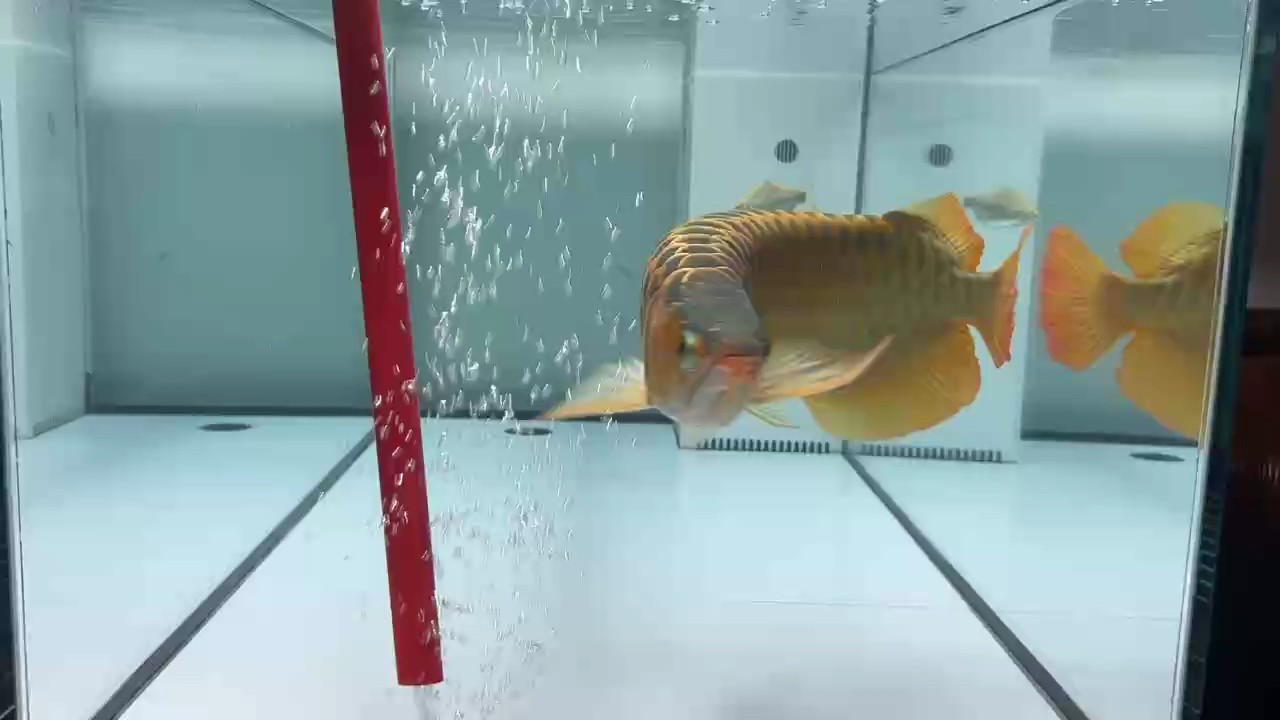換水最快樂