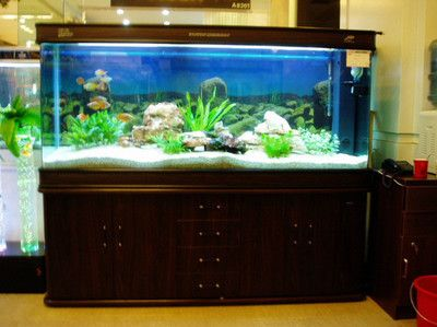 博雅水族魚缸怎么樣啊視頻：博雅水族魚缸搜索結果