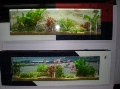 博雅水族魚(yú)缸怎么樣啊視頻：博雅水族魚(yú)缸搜索結(jié)果