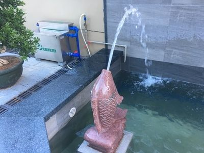 除了過濾怎樣凈化魚缸水：凈化魚缸水的方法