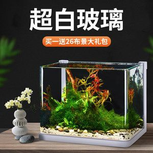斗魚魚缸造景圖：斗魚缸造景教程和視頻