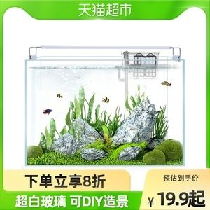 斗魚魚缸造景圖：斗魚缸造景教程和視頻