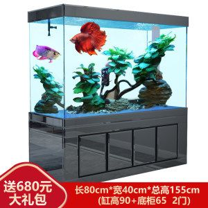 1.5米長(zhǎng)40寬80高魚缸：1.5米長(zhǎng)40寬80高的魚缸是一個(gè)怎樣的魚缸？